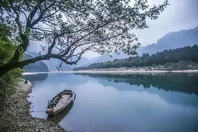 逃离仿真森林